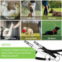 Omnikryp 2 Pièces Sifflet à Ultrasons pour Chien, Sifflet Chien Rappel Professionnel, Rappel avec Lanière, Aides à la Formation 