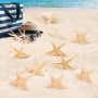 SLAXJNE Élément De Décoration en Forme D'Étoile De Mer, 50 Pièces, Accessoires De Photographie, Décoration De Maison, Matériaux 