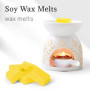 SCENTORINI Fondants Parfumés Cire Parfumée pour Bruleur Tartelette à la Cire de Soja Naturelle pour Brûle Parfum