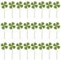 Fleurs Séchées De Trèfle À Quatre Feuilles, Spécimen De Plante De Trèfle À Quatre Feuilles, Porte-Bonheur De Trèfle À Quatre Feu