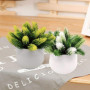 Fycooler Plantes Artificielles en Pot, Plantes Topiaires Artificielles de Cactus, Plantes Succulentes Décoratives Faux Cactus en