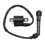 Wai Danie Bobine d'allumage Moto Compatible avec Yamaha Grizzly Raptor Rhino 660 YFM 350 YFM400 YFM660 2002-2008 Big Bear 400 Pi