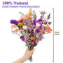 KAOHONG Bouquet de Fleurs Séchées Naturelles Violettes Vraies Naturel Fleurs Décoration pour Mariage, décoration Maison fête, Va
