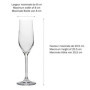 SUNDIS Champ Store, lot de 2 boîtes de rangement pour flûtes à champagne, en plastique transparent, renforcées avec couvercle cl