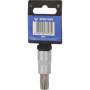 BRILLIANT TOOLS BT021949 Douille Torx 3/8", T55 [Powered by KS TOOLS]