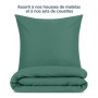 Blumtal Lot de 2 taies d'oreiller, 50 x 70 cm, certifiées Oeko-TEX, 100 % microfibre extra douce, lavable en machine, housse de 