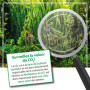 Engrais CO2 bio aquarium – MICROBE-LIFT Bio-CO2 118 ml – source liquide de CO₂ avec bactéries & acide humique – favorise la croi