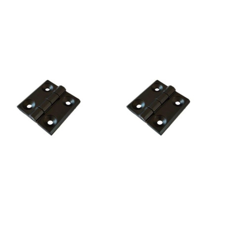 Lot de 2 charnières en métal 50 x 50 mm - Noir - Pour jardin, bateau ou construction mécanique