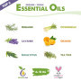 Coffret Huiles Essentielles BIO - 6 x 10ml - 100% naturelles, pour diffuseur et aromathérapie (romarin, lavande, eucalyptus, cit