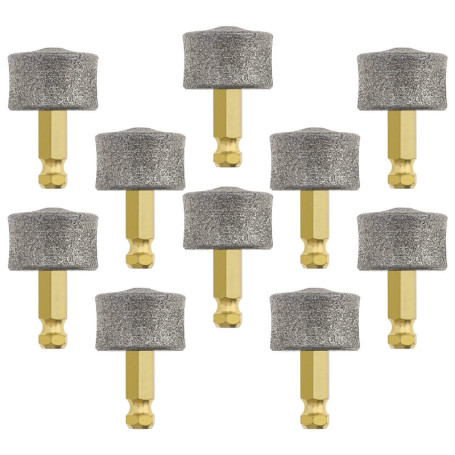 VGOL 10pcs Tête de Broyeur à Ongles pour Chien Remplacement Embouts de Broyeur à Ongles pour Animaux de Compagnie Tête de Meulag