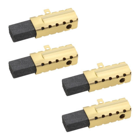 VGOL Lot de 2 Paires de Balais de Charbon Compatibles avec Bosch GBH 2-18, PBH 2000, 2800, 2900, 3000 FRE Perceuse à Percussion 