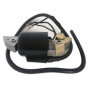 Borimend Bobine D'Allumage de Moto pour G150 G200 G300 G400 30500-887- 30560-883-015