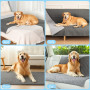HezzLuv Housse de canapé imperméable pour chien et animal domestique - Lavable - Réversible - Anti-rayures - Résistante aux poil