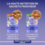 PURINA ONE | BIFENSIS | Chat Adulte à l'appétit difficile | Effilés en Sauce | Stimule l'appétit du Chat, Haute digestibilité| P