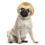 Cobee Perruque amusante pour chien et chat - Réglable - Costume amusant pour animal de compagnie - Pour chiens de petite, moyenn