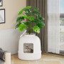 Lifewit Bac à Litière pour Chat avec Fausse Plante et Pelle, Bac à Litière Camouflé avec Contrôle des Odeurs et Filtre à Carbone