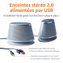 Amazon Basics Haut-parleurs stéréo 2.0 pour PC ou ordinateur portable, entrée auxiliaire 3,5 mm, alimentation USB, 1 paire, Arge