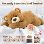 Mewaii Peluche Lestée Ours Brun avec Coussin Chauffant Micro-Ondes - Peluche Pesant 2,3KG, Réglable, Chauffable et Refroidissabl