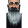 Fausse barbe My Other Me Gris 39,99 €