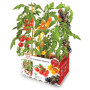 Kit de Culture de Tomates Cerises Mélangées - Semillas Batlle