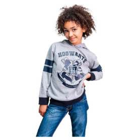 Sweat à Capuche Gris Mixte Enfant - Cerdá