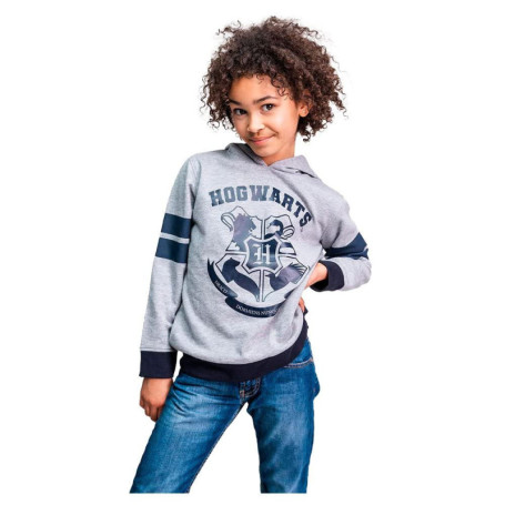 Sweat à Capuche Gris Mixte Enfant - Cerdá