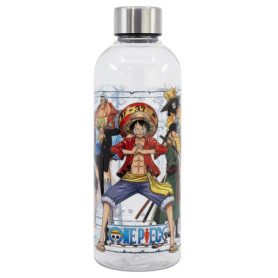 Bouteille Isotherme Hydro One Piece 850 ml Multicolore