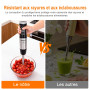 Ibergrif Mixeur Plongeant 1000W en Acier Inoxydable avec Réglage Continu de Vitesse et Bouton Turbo, Mixer Plongeur pour Soupes 
