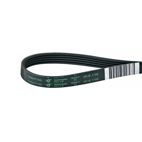 Courroie striée PJ pour lave-linge AEG Electrolux - LUTH Premium Profi Parts