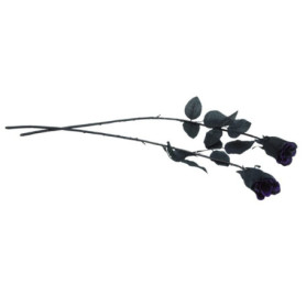 Rose Noire de Déguisement 42 cm - FIESTAS GUIRCA