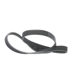 Courroie Striée ContiTech 7PK1377 pour Smart Fortwo et Renault Twingo