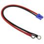Câble EC5 vers Anneau Torique 40 cm - 10 AWG Rouge et Noir