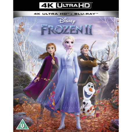 Frozen 2 - Film 4K Ultra HD avec Audio Français