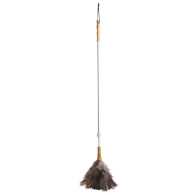 Plume d'Autruche KitchenCraft avec Manche Télescopique - Gris