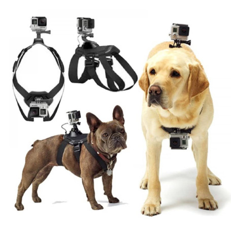 Harnais GoPro pour Chien Réglable et Confortable - Idéal pour Tous les Chiens