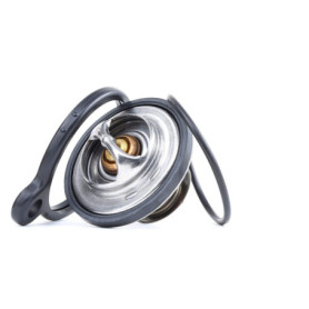 Thermostat d'Eau Gates TH11680G1 avec Joints 80°C