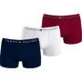 Lot de 3 Slips Tommy Hilfiger pour Homme - Confort et Style