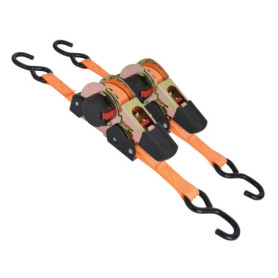 Sangles d'arrimage Carpoint 3m avec crochets plastifiés - 325 kg