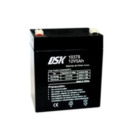 Batterie AGM DSK 12V 5Ah pour Alarme et Mobilité Électrique