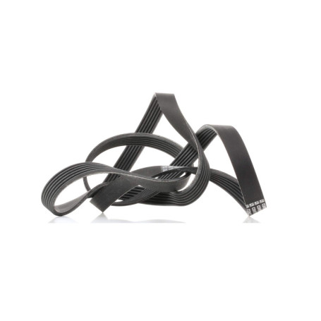 Courroie trapézoïdale à nervures ContiTech 6PK1830 pour voiture