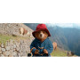Paddington au Pérou - Aventure DVD pour toute la famille