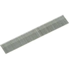 Bostitch Lot de 5000 Clous de Finition Galvanisés 50 mm