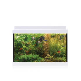 Kit Aquarium Aqualed 20L avec Éclairage LED et Accessoires Complets