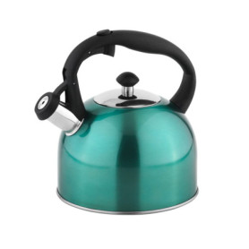 Bouilloire en inox Amazon Basics 2,3 L - Couleur Sarcelle