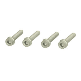 Kit de Vis pour Poulie Vilebrequin MS17 - ContiTech