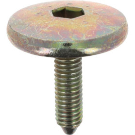Vis Cylindriques Bombées Torx Restagraf pour Aile Avant - M6-1.00 x 22 mm - Sachet de 15