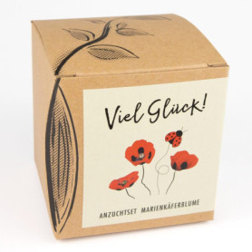 Kit de Culture Cœur-de-Marie avec Graines de Pavot Coccinelle - Idée Cadeau Porte-Bonheur