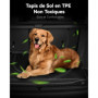 Tapis de Sol Antidérapant 3W pour Toyota RAV4 XA50 (2019-2025) - Imperméable et Sur Mesure