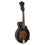 Mandoline Électro-Acoustique Ortega Guitars Série Americana - Épicéa/Érable Marron