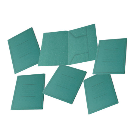 Chemises à Dossier 3 Rabats Pigna Eco Line - Vert, 50 Feuilles